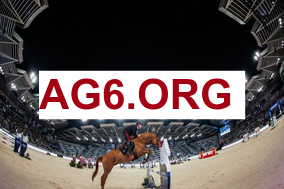 美媒：普尔已连续9场比赛被DNP，自1月23日以来他再未登场